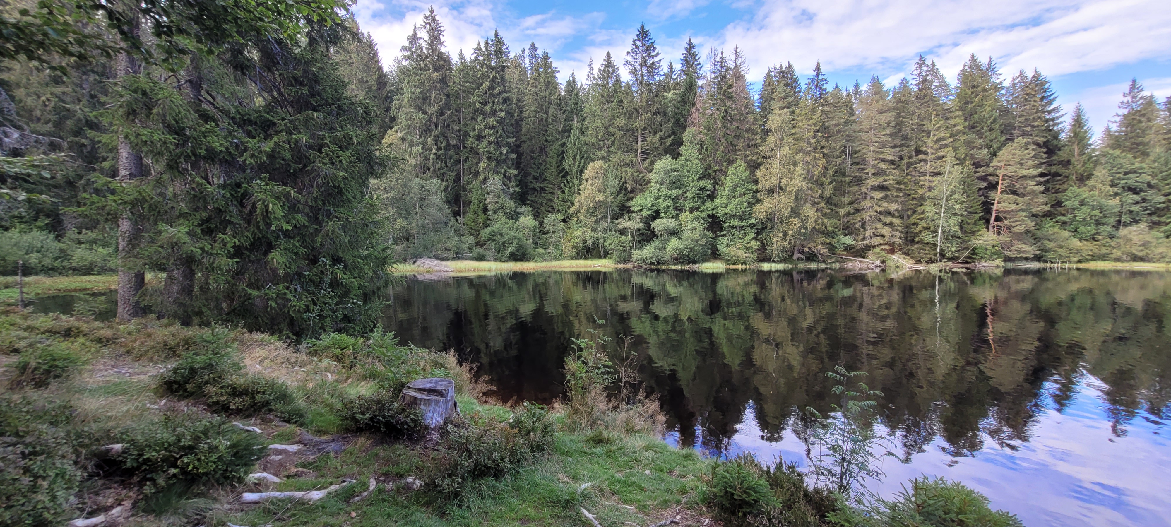 Datenschutzerklärung